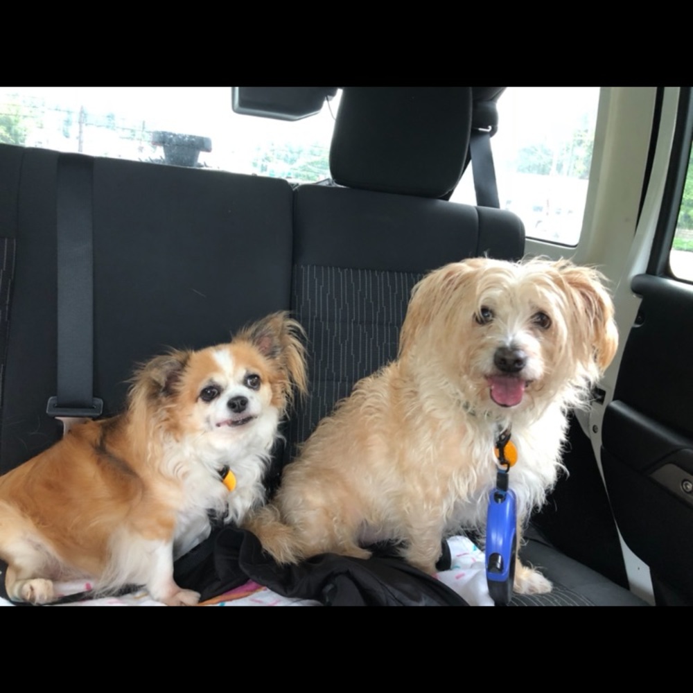 Meet your Posher, Keira